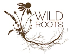 Fort Collins summer camps